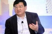 徐小平爆料亲戚视频,揭秘背后真相与争议