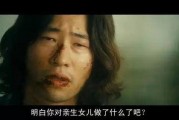 韩国复仇在线观看,在线观看，揭秘复仇之路
