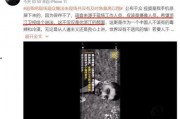 赫海的工作人员爆料视频,独家爆料视频背后的故事
