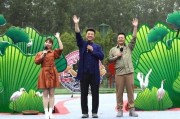 双合拆迁爆料视频大全集,揭秘拆迁背后的真相与争议