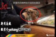 烧烤店爆料者是谁啊视频,视频曝光背后的真相